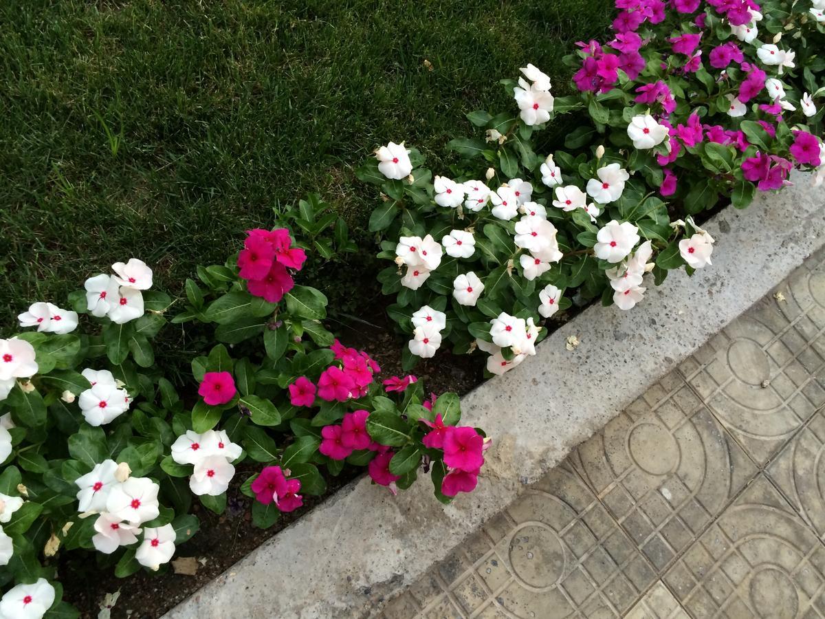 Armon Apart Hotel Khujand Esterno foto