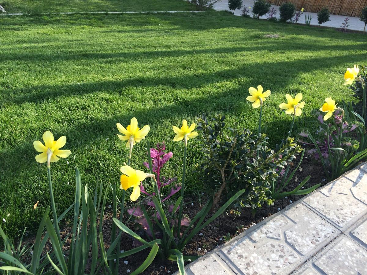 Armon Apart Hotel Khujand Esterno foto
